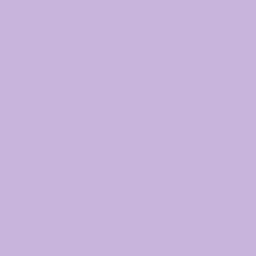 Prunellia