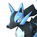 Rayhound Cryst